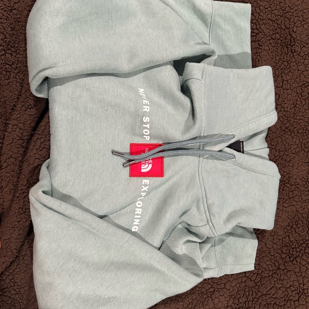 The North Face teal hoodie